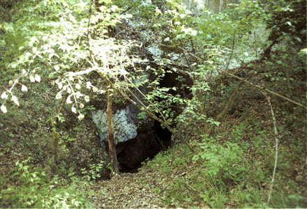 Entrée