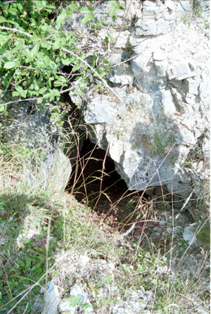 Marut